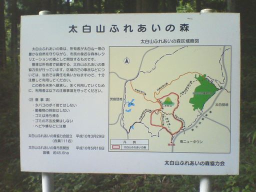 a0096557_11544116.jpg