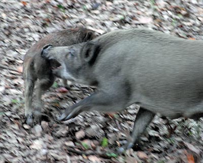 e0035757_22133110.jpg