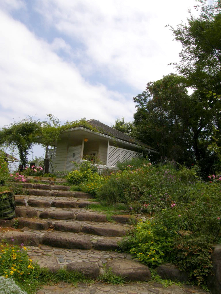 e0064158_0482028.jpg