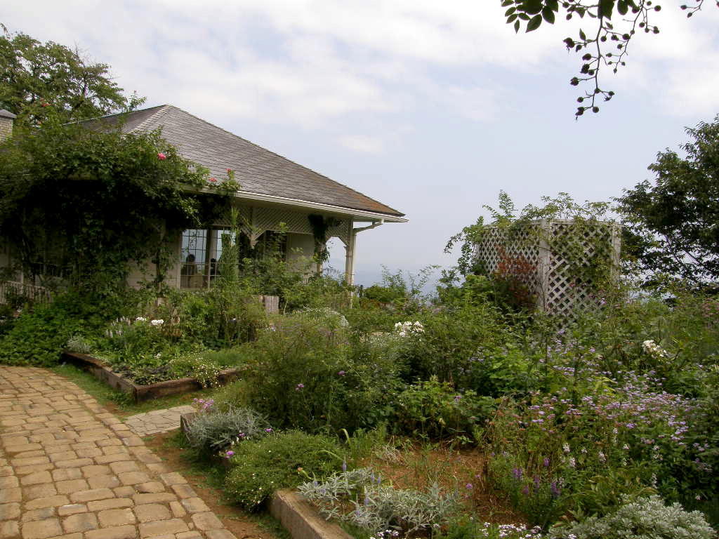 e0064158_0501425.jpg