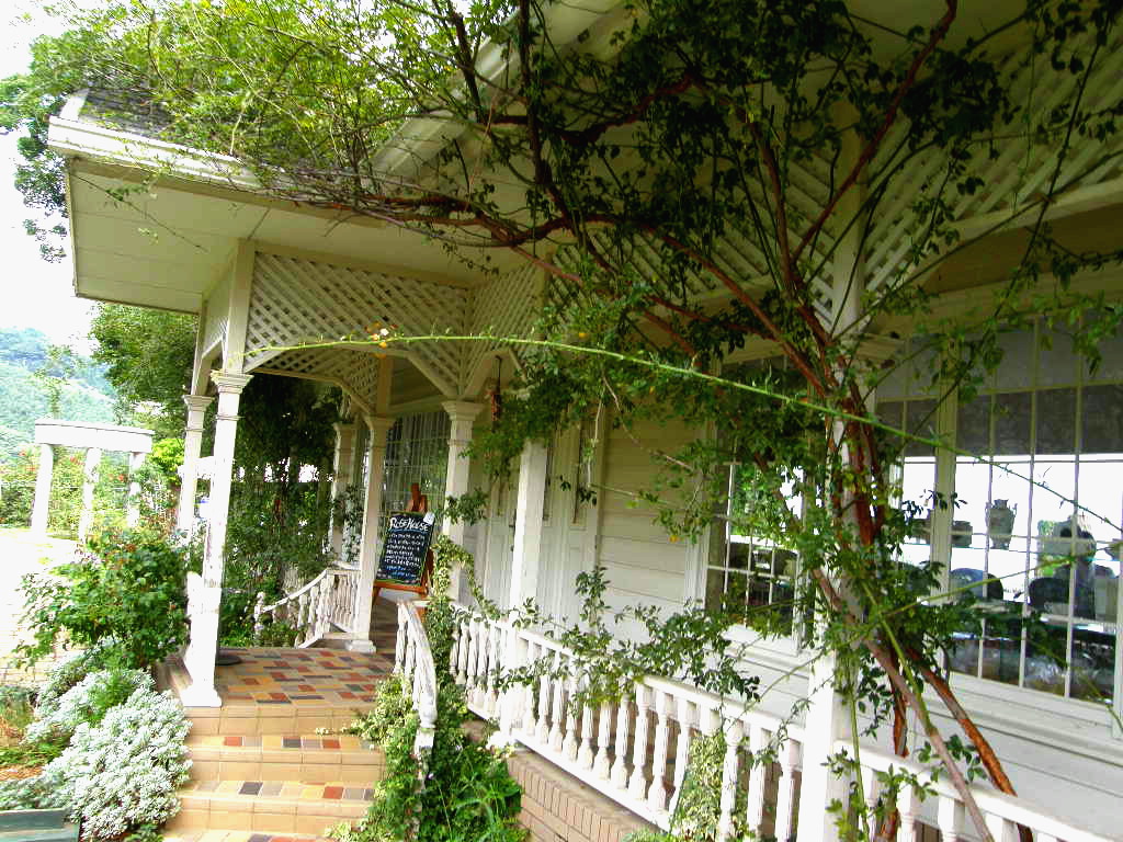 e0064158_0515540.jpg