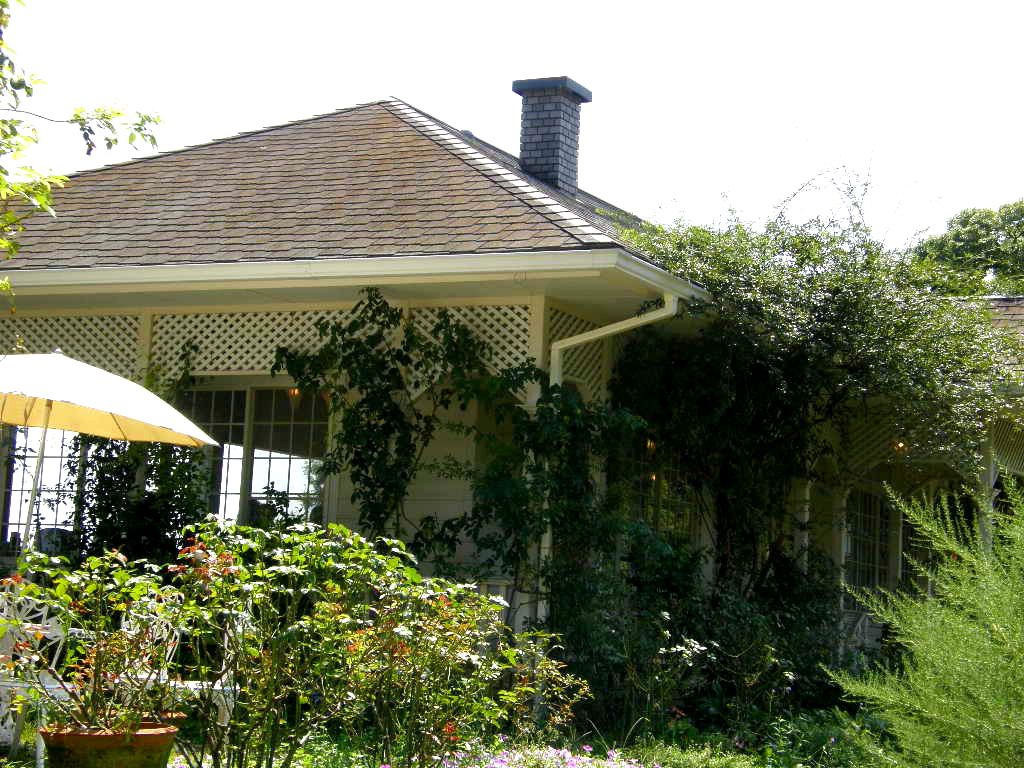 e0064158_054960.jpg