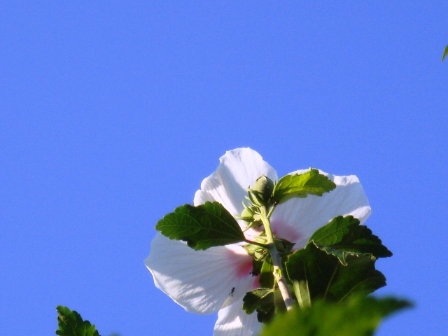 f0036670_21553688.jpg