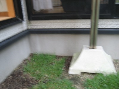 e0106372_9412231.jpg