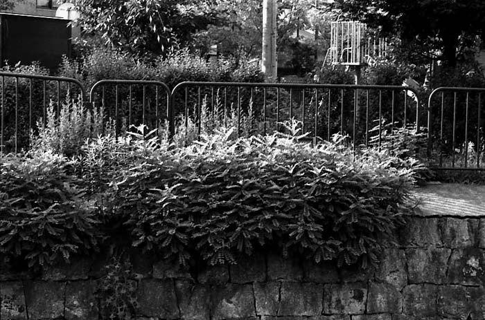 c0131875_136391.jpg