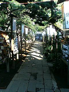 鳩の森神社祭礼_f0054677_7452270.jpg