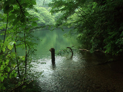 茶屋　十二湖庵_a0108078_22365369.jpg