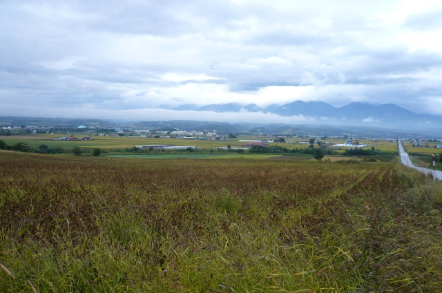 f0097683_220201.jpg