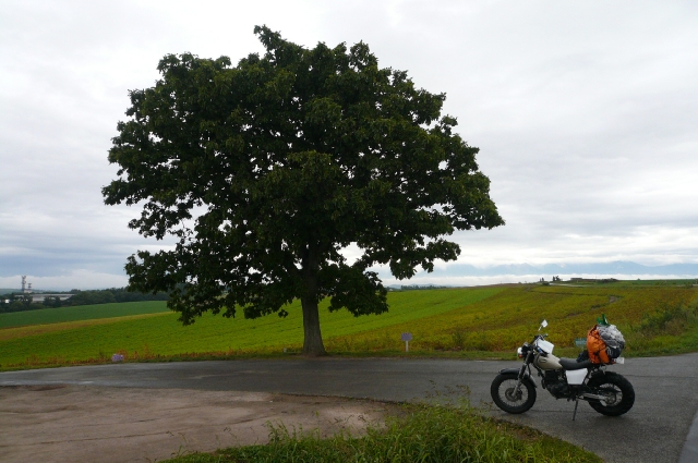 f0097683_2212851.jpg