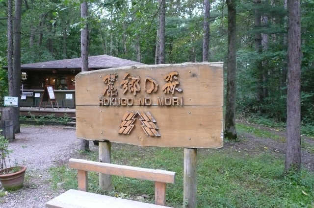 f0097683_2220924.jpg