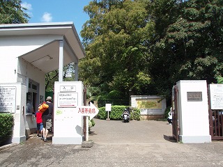 小石川植物園 ～研究温室編_c0105785_16113541.jpg