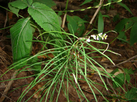 f0146493_10381511.jpg