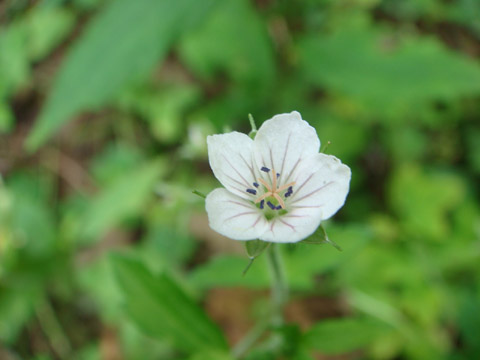 f0146493_10384813.jpg