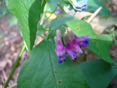 f0146493_10395644.jpg