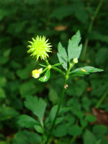 f0146493_10403951.jpg