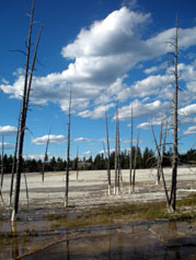 Yellowstone＆Grand Teton旅行記 Vol.2_c0061496_11103356.jpg