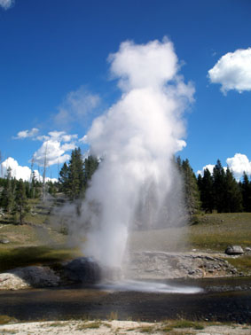 Yellowstone＆Grand Teton旅行記 Vol.2_c0061496_1113612.jpg