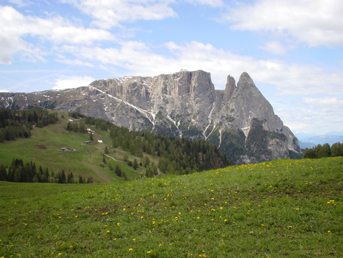 Alpe di Siusi_c0061896_11175343.jpg