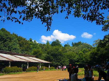 BBQ(+ラン)_a0036808_162959100.jpg