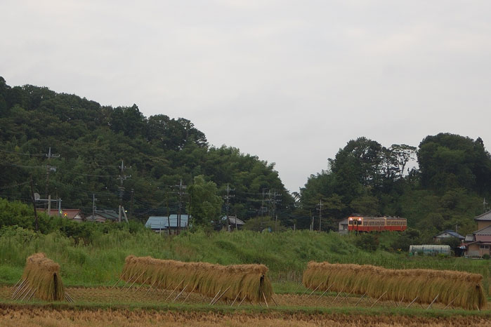 朝の川間　鶴舞　里見_e0101209_22584313.jpg