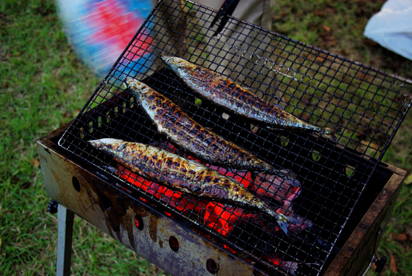 秋刀魚の焼き方_c0127118_1654397.jpg