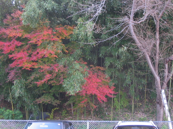 f0143119_115697.jpg