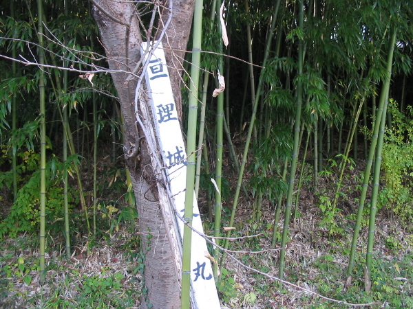 f0143119_121930.jpg