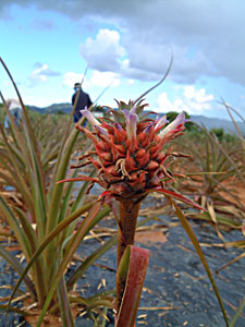 f0142721_2240247.jpg