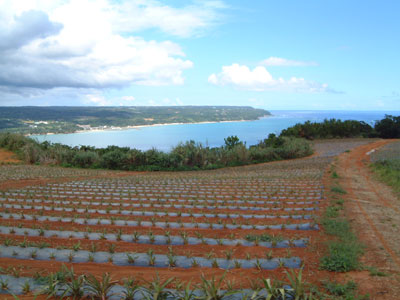 f0142721_22505247.jpg