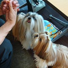 c0028424_21192834.jpg
