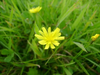 ☆いつもの日曜日☆_d0104926_21554115.jpg