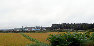 砂川の墓参り_a0046429_22344236.jpg