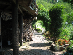 またまた琵琶湖周辺へ　（西国 三十一 番 長命寺・三十二番 観音正寺）_d0017632_1103592.jpg