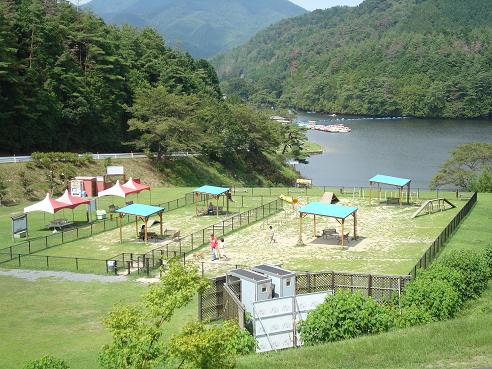 夏休みの話 その2_c0099133_1173388.jpg