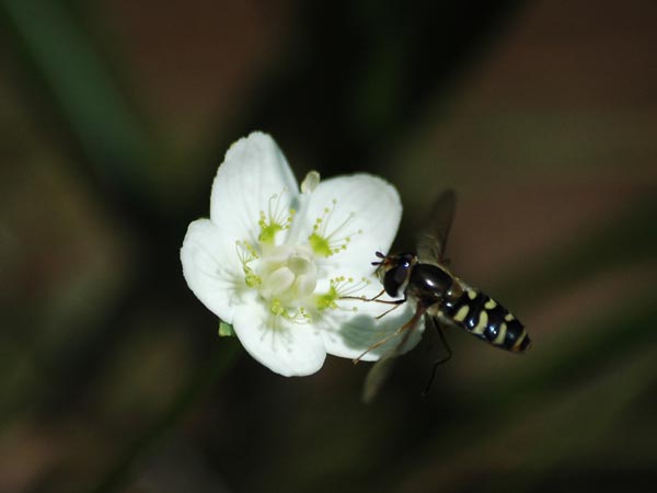 c0045352_16443943.jpg