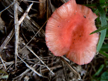 d0091754_005518.jpg