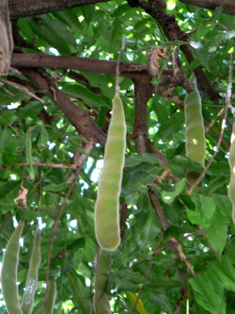 d0091754_0402924.jpg
