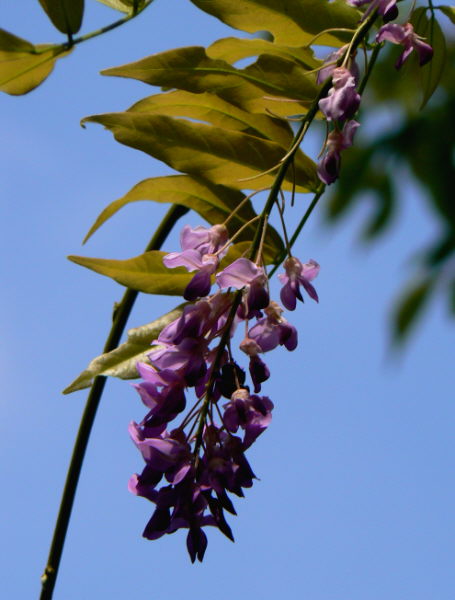 d0091754_0572046.jpg