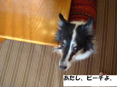 f0046854_19512097.jpg
