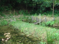 c0108460_18424275.jpg