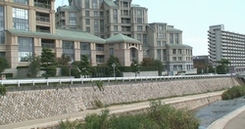d0083265_1205339.jpg