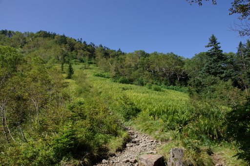 f0054075_22473856.jpg