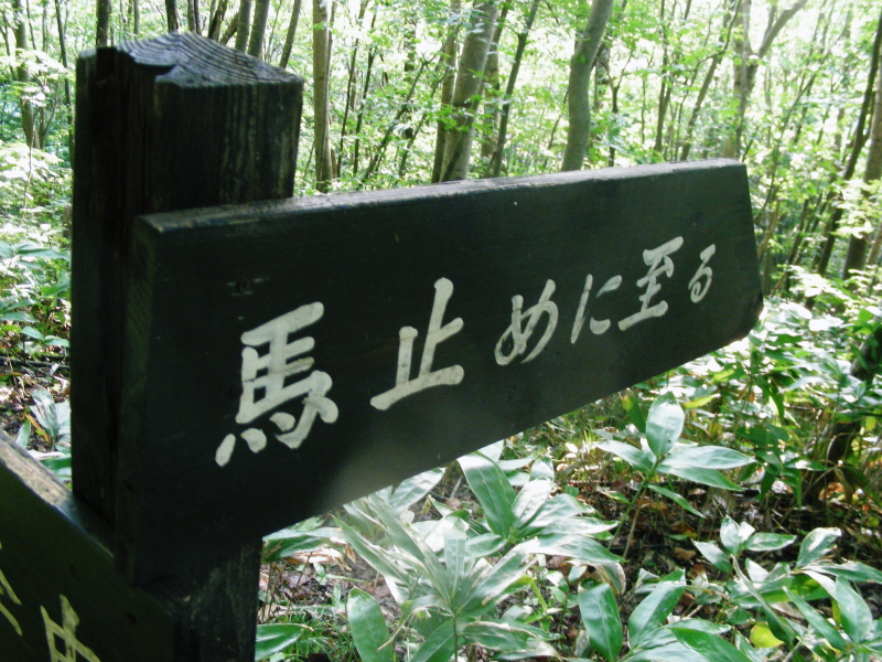 石上山への道_f0075075_15185637.jpg