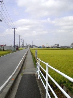 d0062076_15224934.jpg