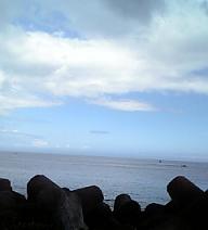 b0013678_2216414.jpg