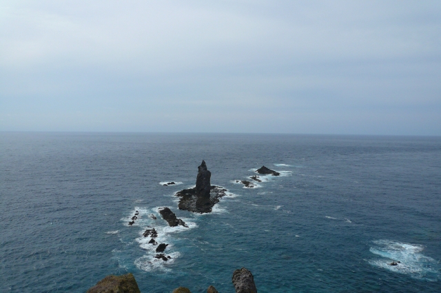 北海道ﾂｰﾘﾝｸﾞ8日目　part2　最後の食い倒れ編_f0097683_1352878.jpg