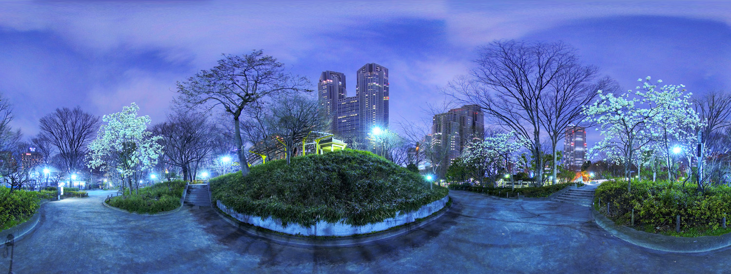 Shinjuku Central Park_d0108602_1343567.jpg