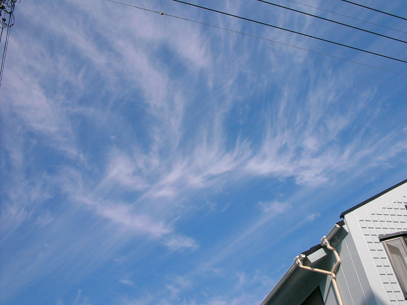 f0083903_9202528.jpg