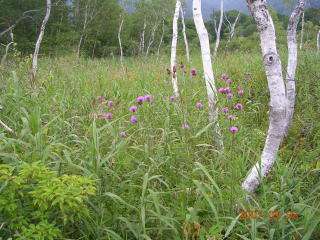 a0092212_103306.jpg