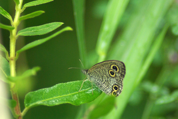 d0090322_73562.jpg